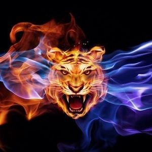 Meet your Posher, Ken